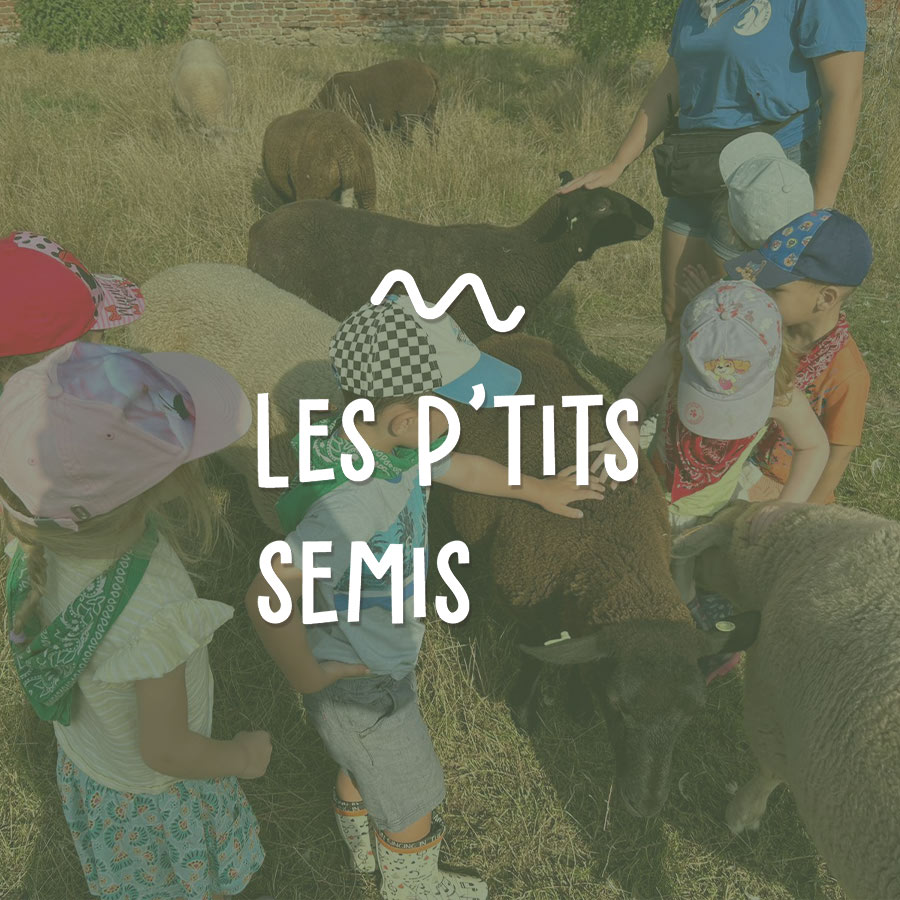 La Ferme du Parc - anniversaires, activités pour petits et grands, gîtes à la ferme, location de salles adaptées à vos événements.