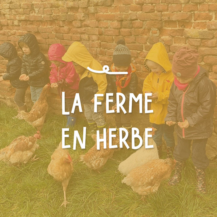 La Ferme du Parc - anniversaires, activités pour petits et grands, gîtes à la ferme, location de salles adaptées à vos événements.