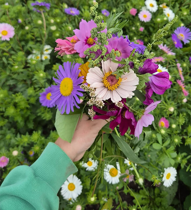 la-ferme-du-parc-champ-de-fleur-img-2